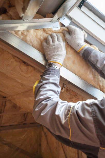 Weatherproofing Services in Elgin, IL